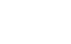Asia Noodles logo